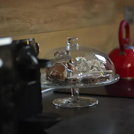 Daire Amphitheatrum Arena *